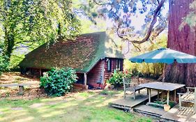 Woodland Chalet At Otters Green